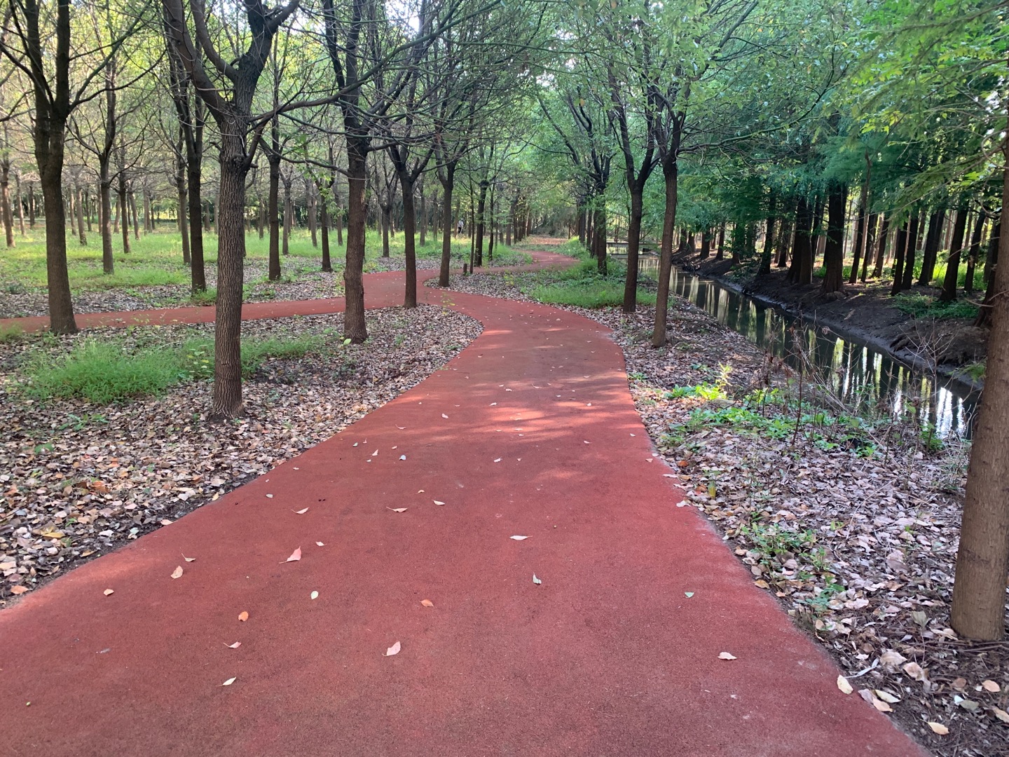 三星鎮海洪港村健身步道