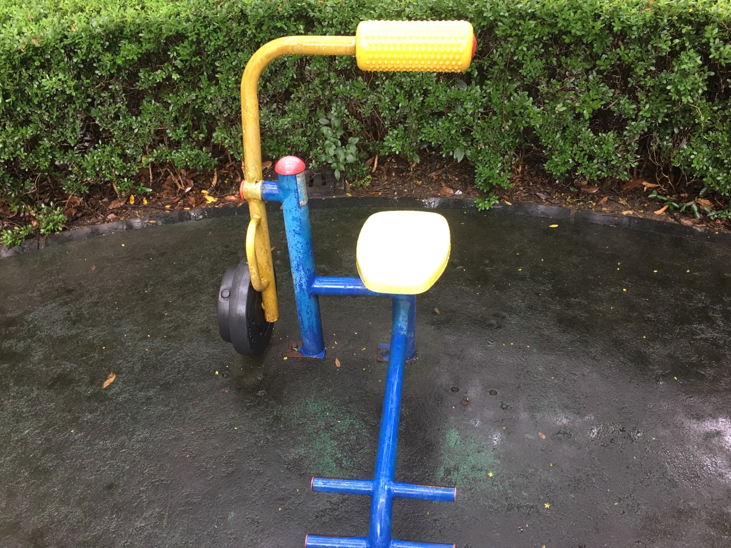腹背鍛煉器