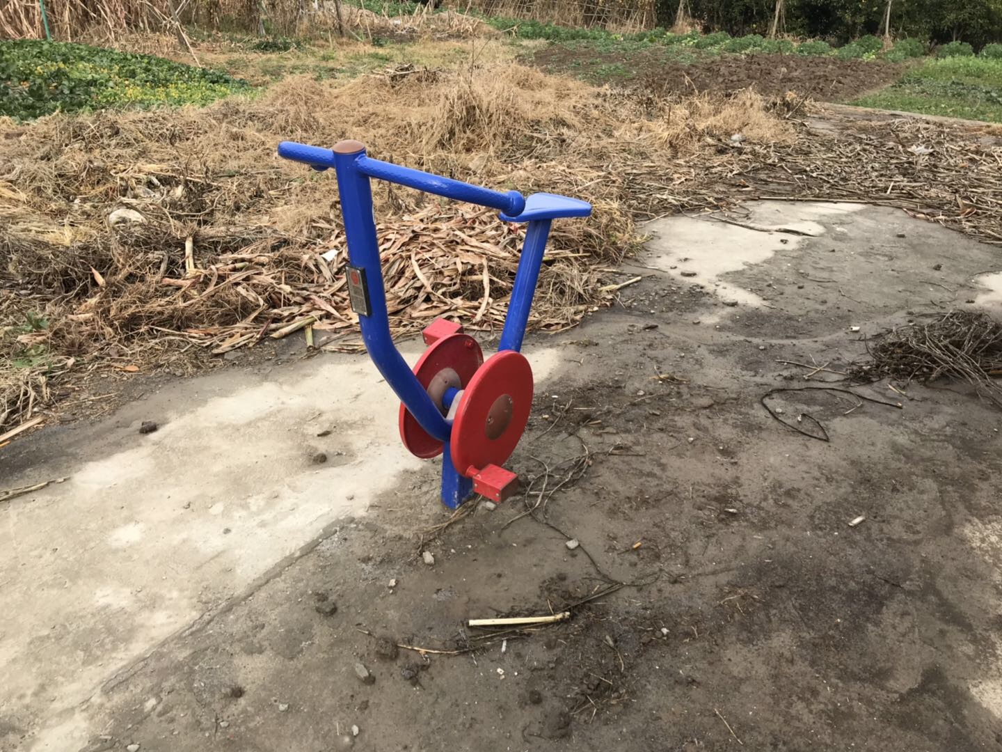 直立健身車