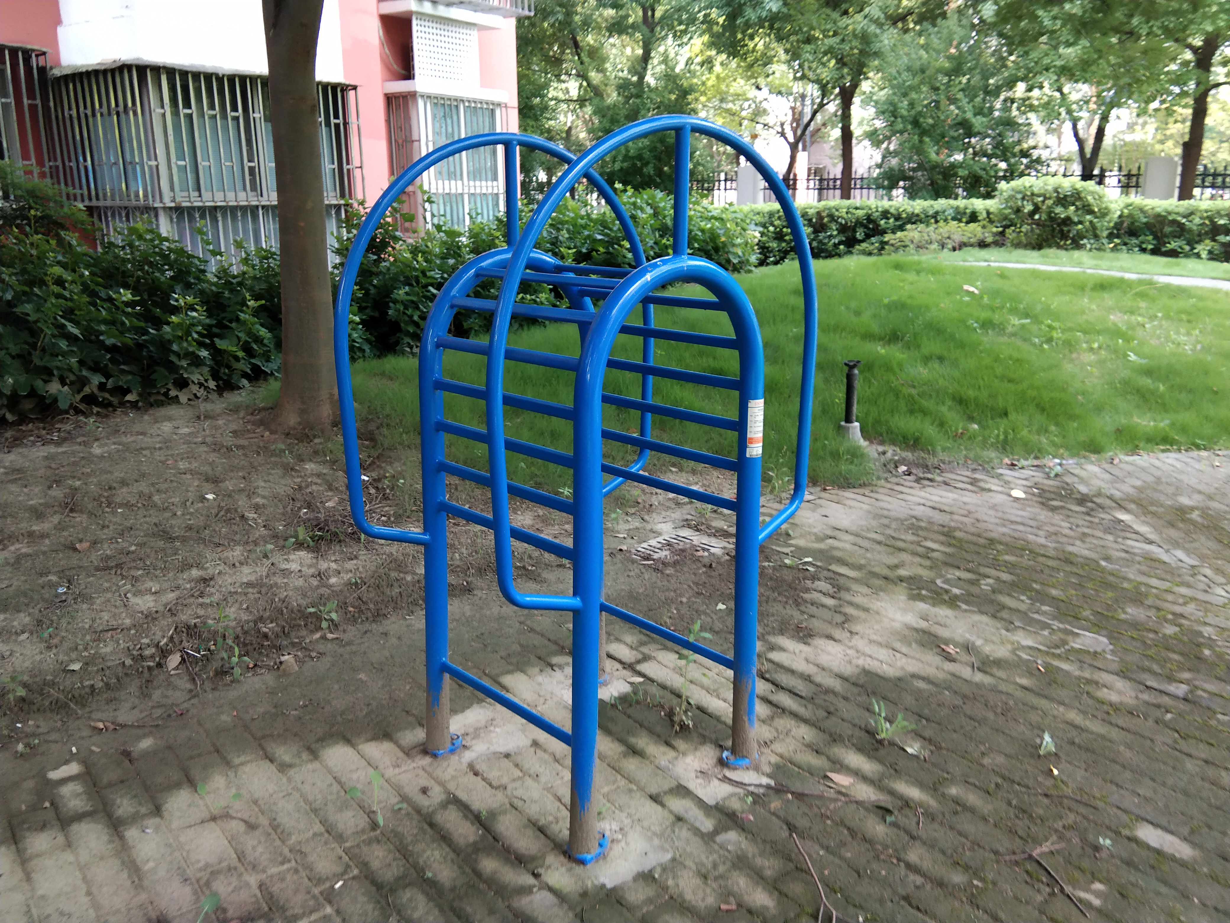 伸背器