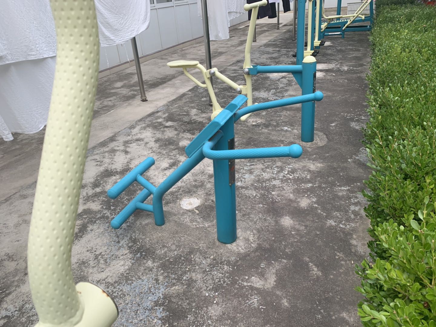 背肌訓練器
