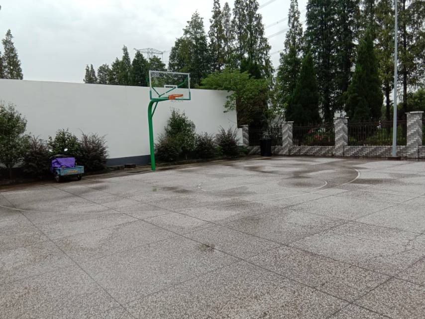 大新村