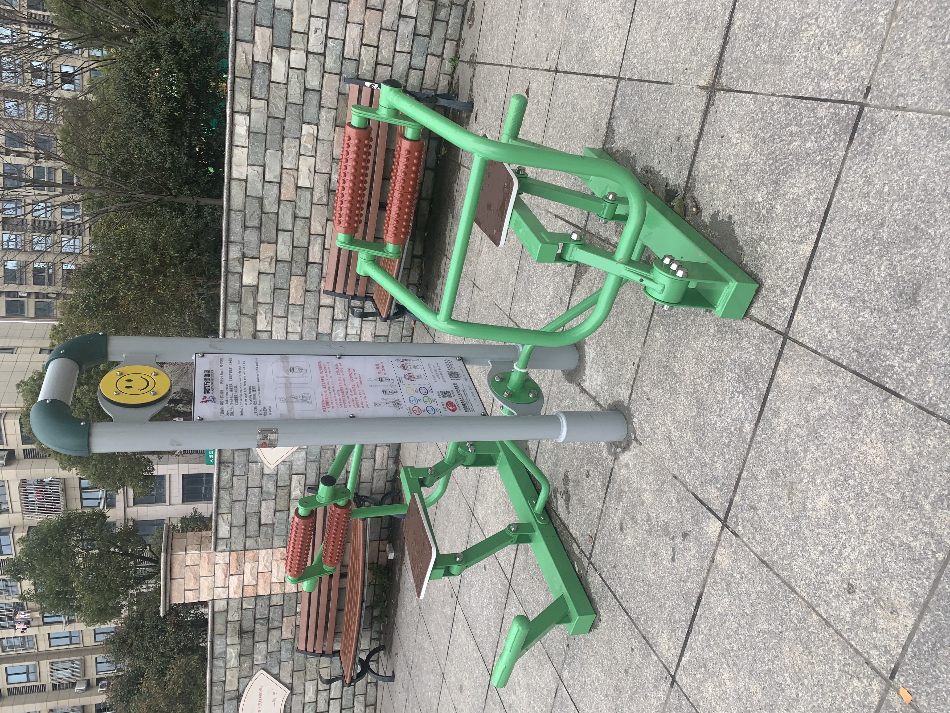 雙位背部訓練器