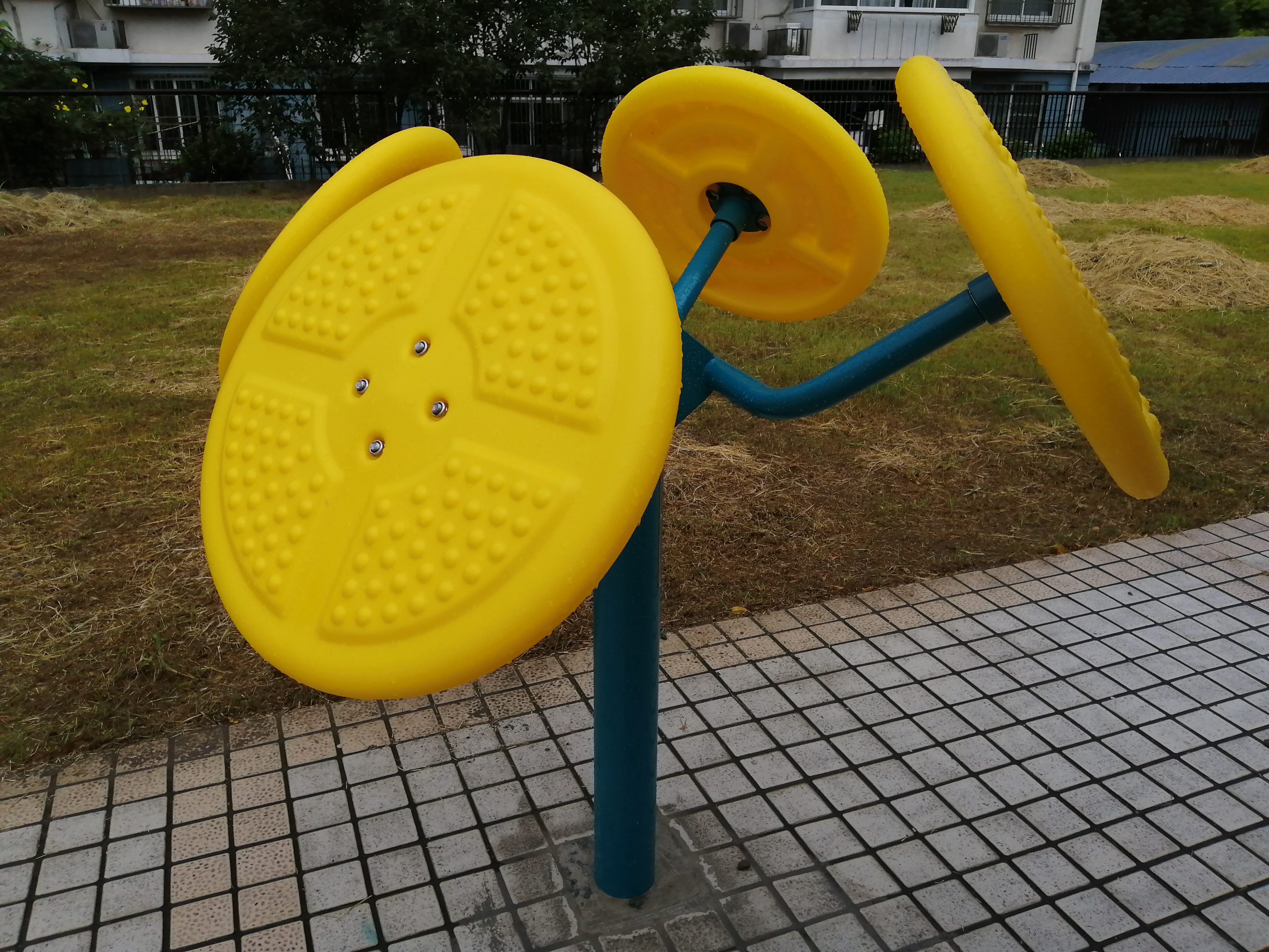 輪盤訓練器