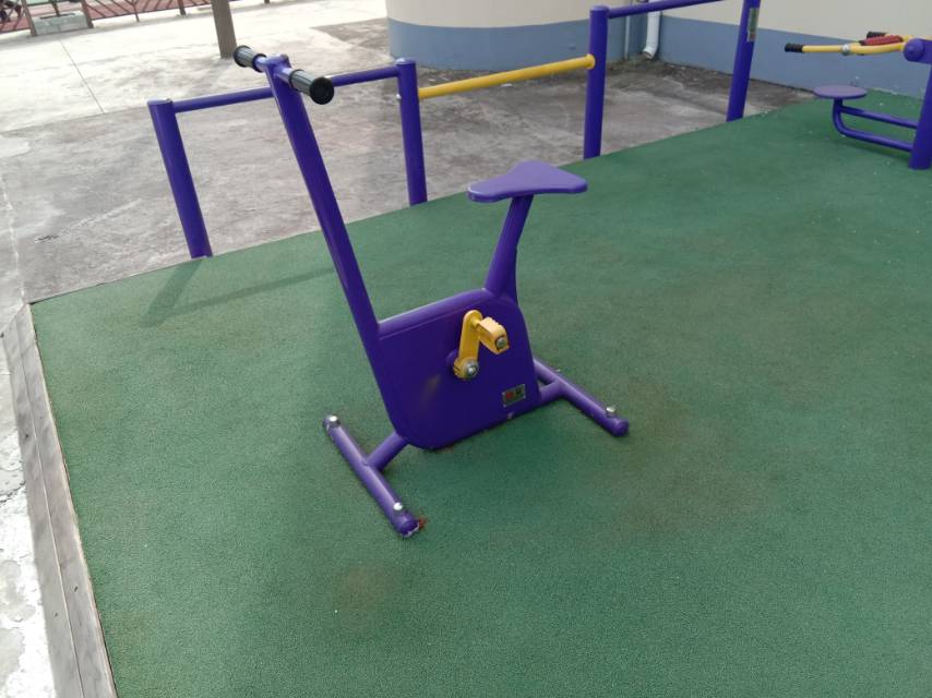 雙位健身車