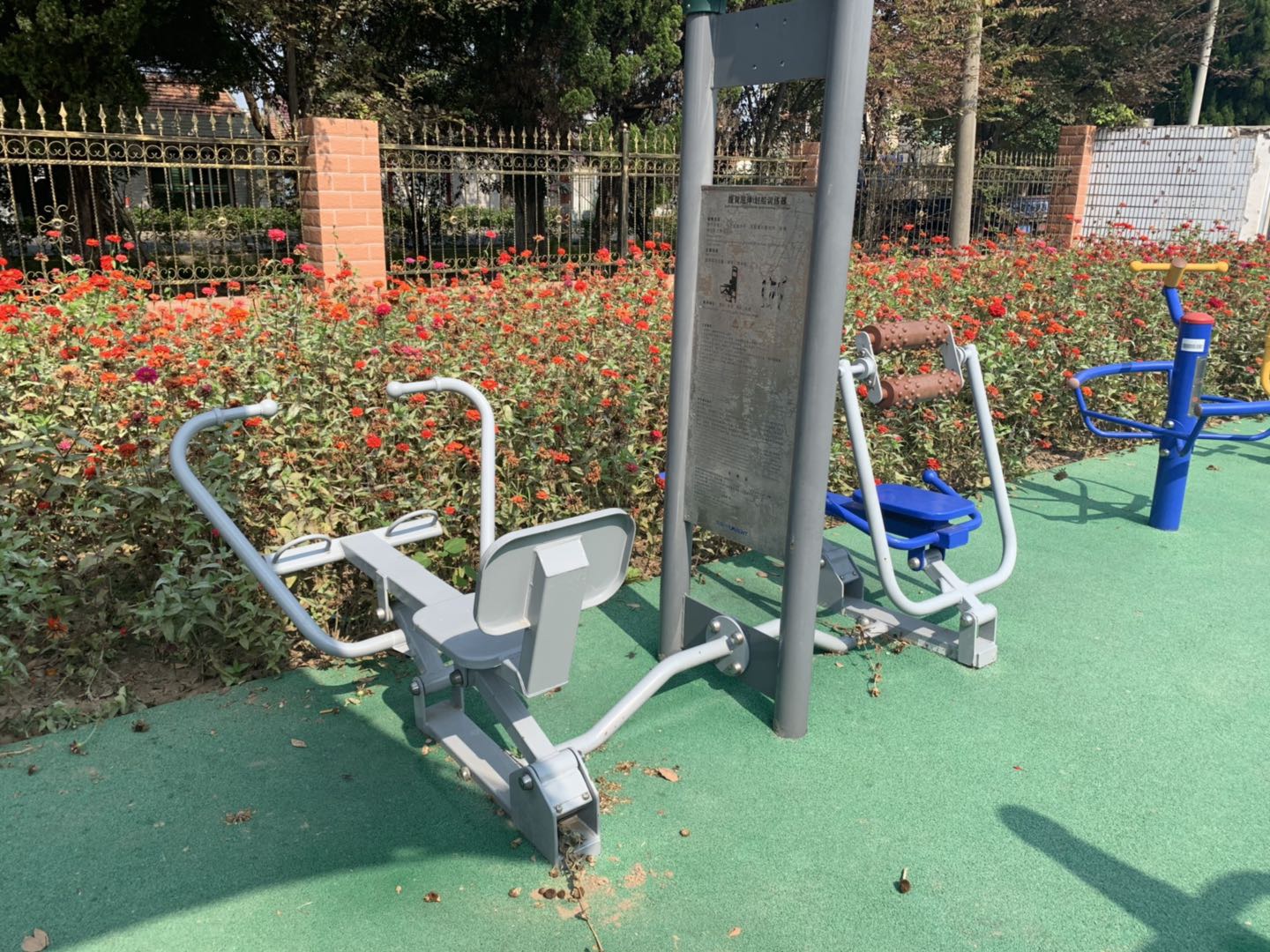 腹背屈伸/劃船訓練器