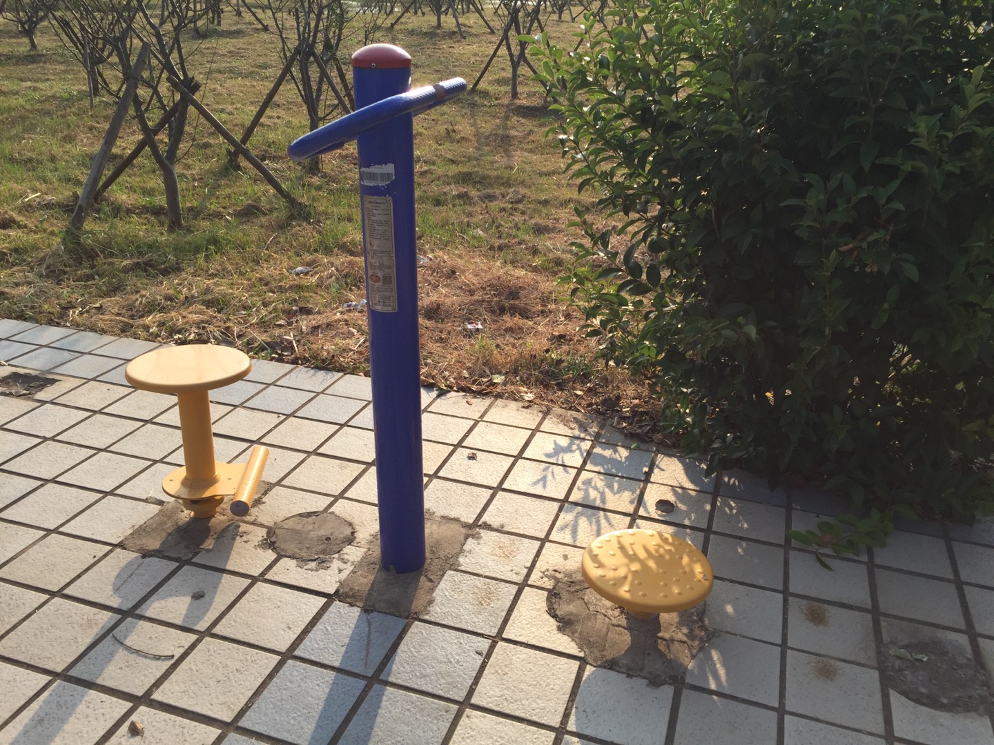 雙位扭腰器
