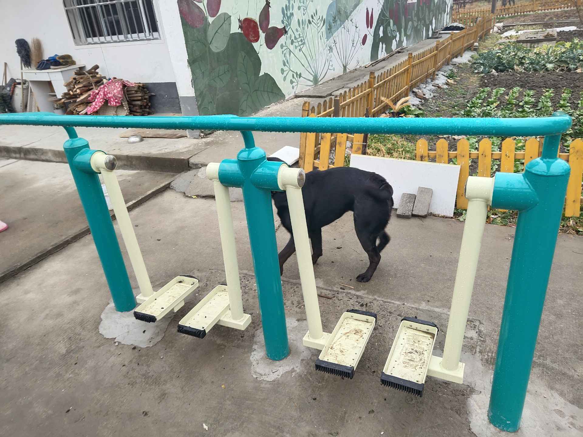雙人漫步機
