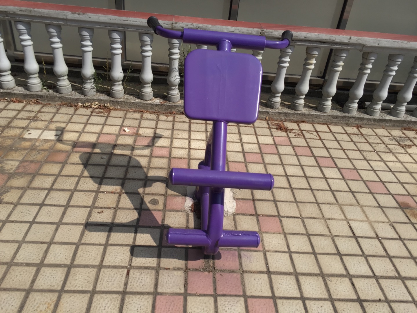 雙位健身車(chē)