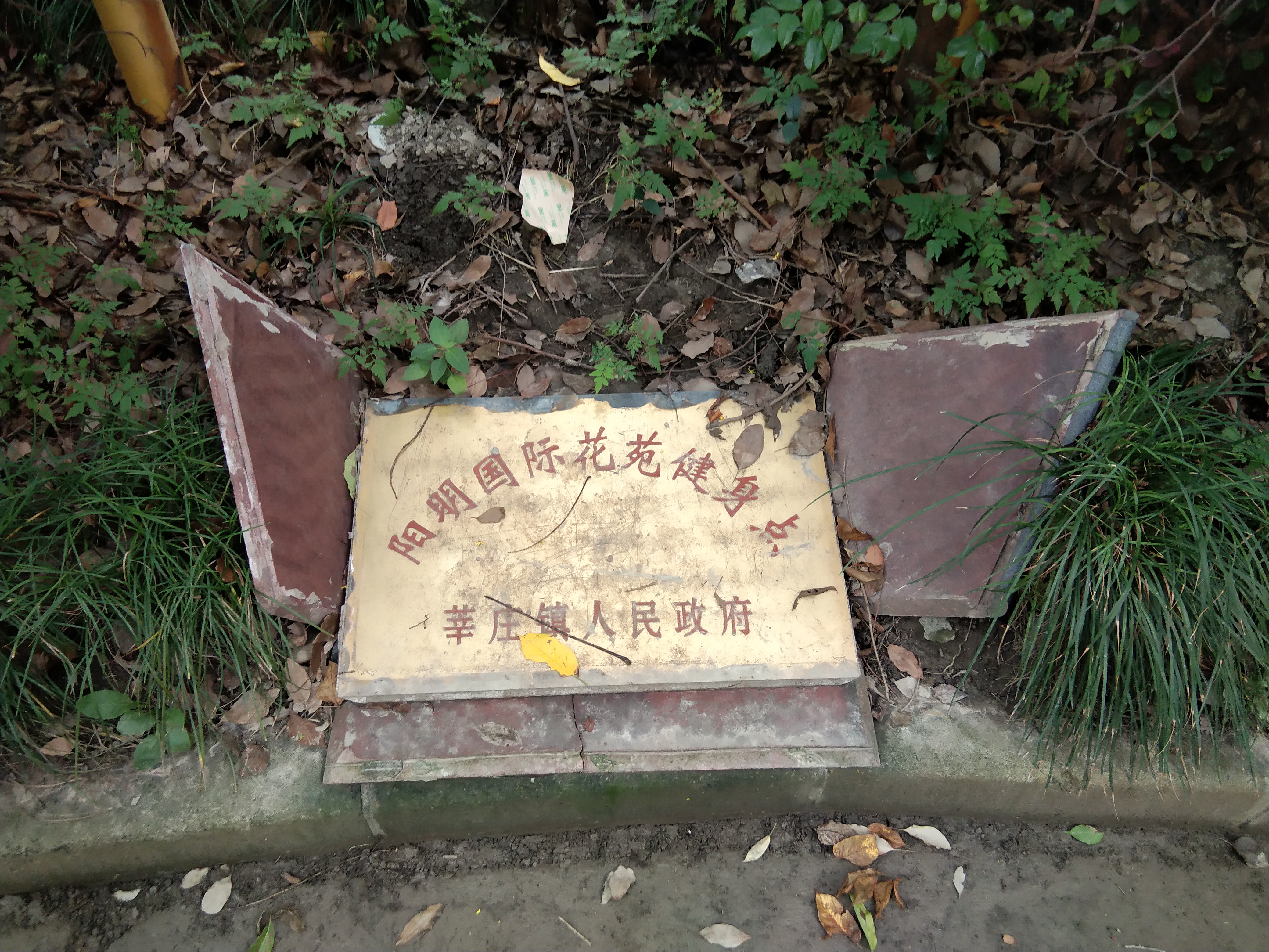 陽(yáng)明國(guó)際花苑健身點(diǎn)B
