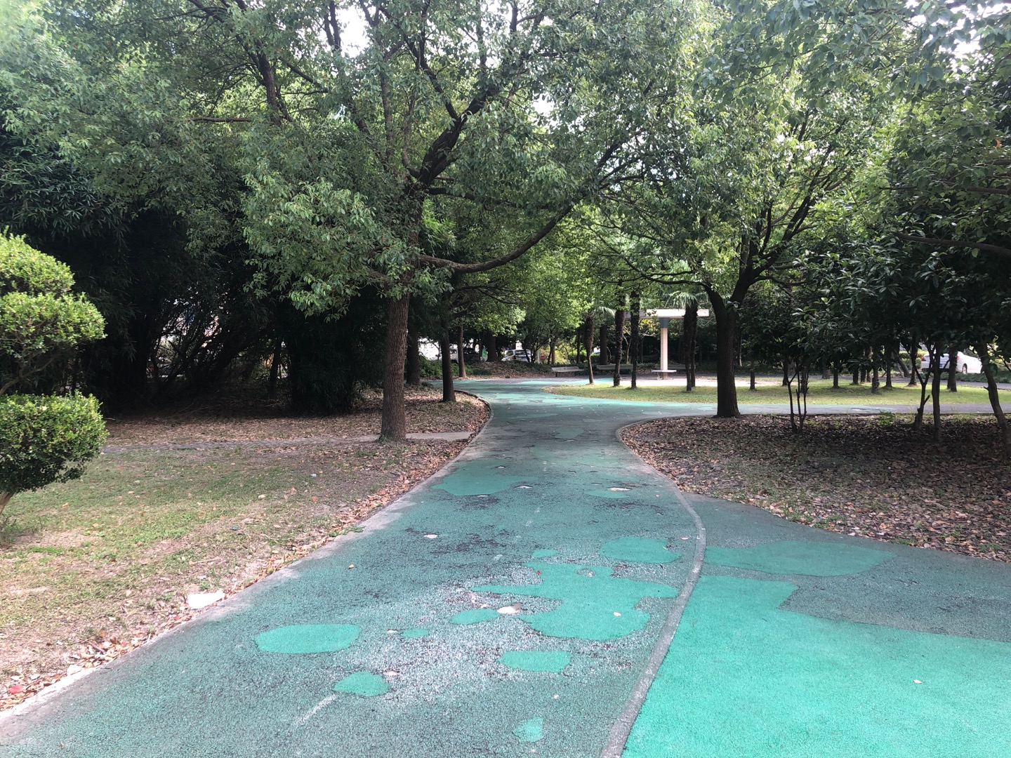 東泉健身步道