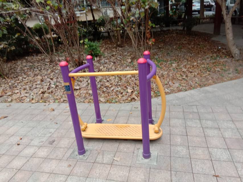 晃板健身器