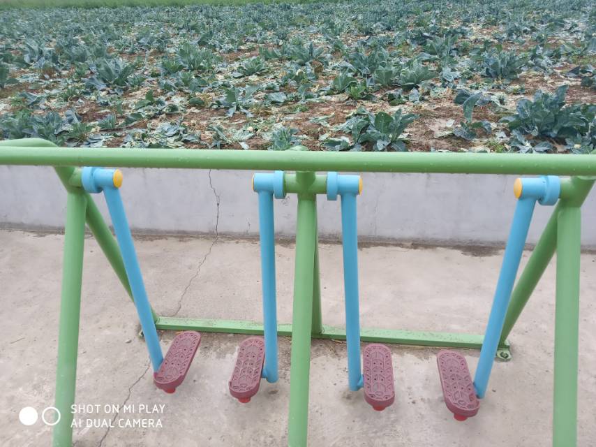 漫步器