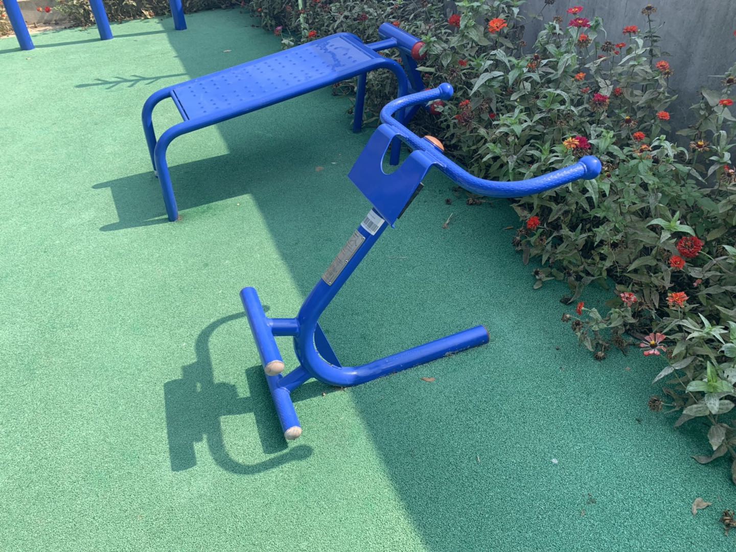 背肌/腹肌訓練器