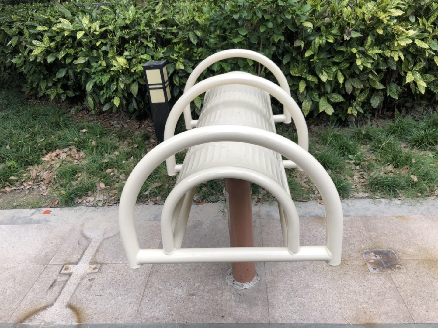 伸腰展背器