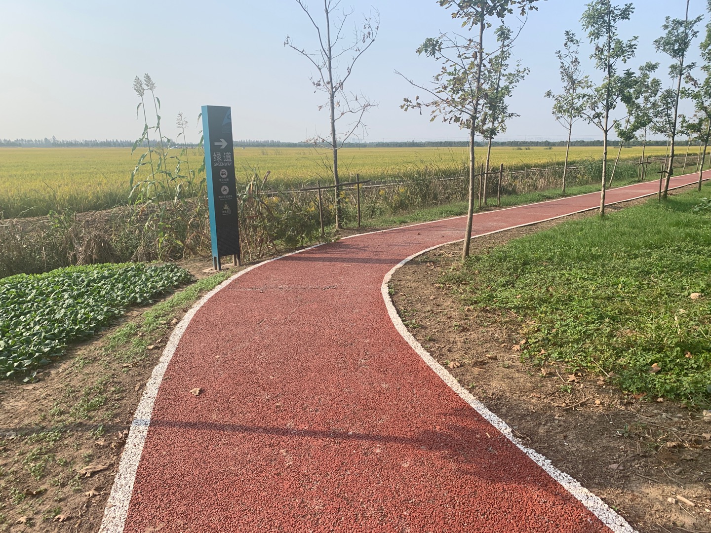 躍進健身步道