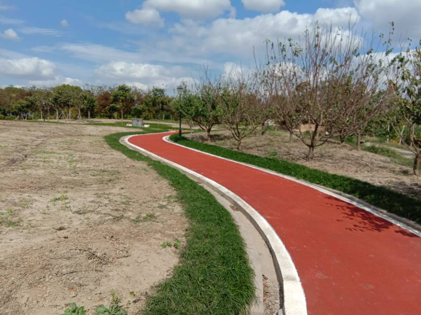 向化鎮米新市民健身步道