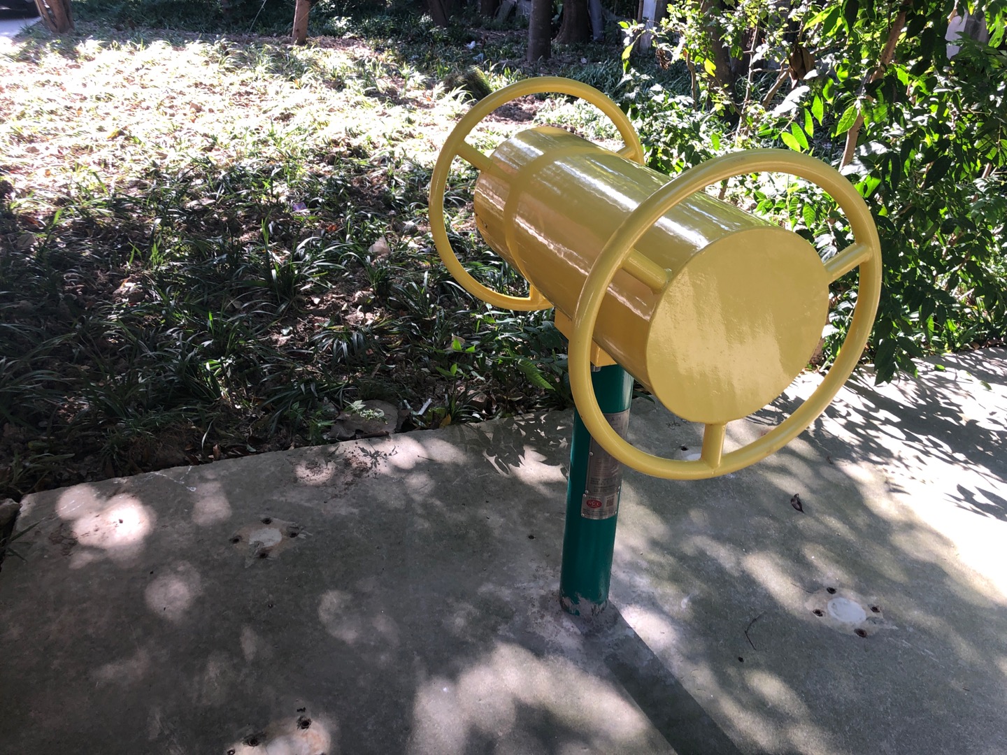 伸背器
