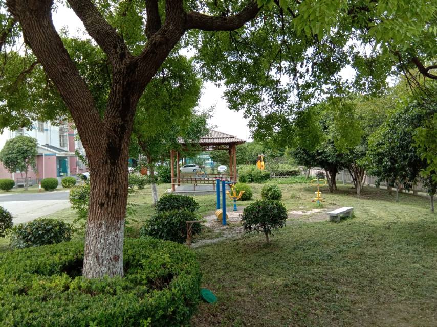 育苑小區1868弄中區市民健身點