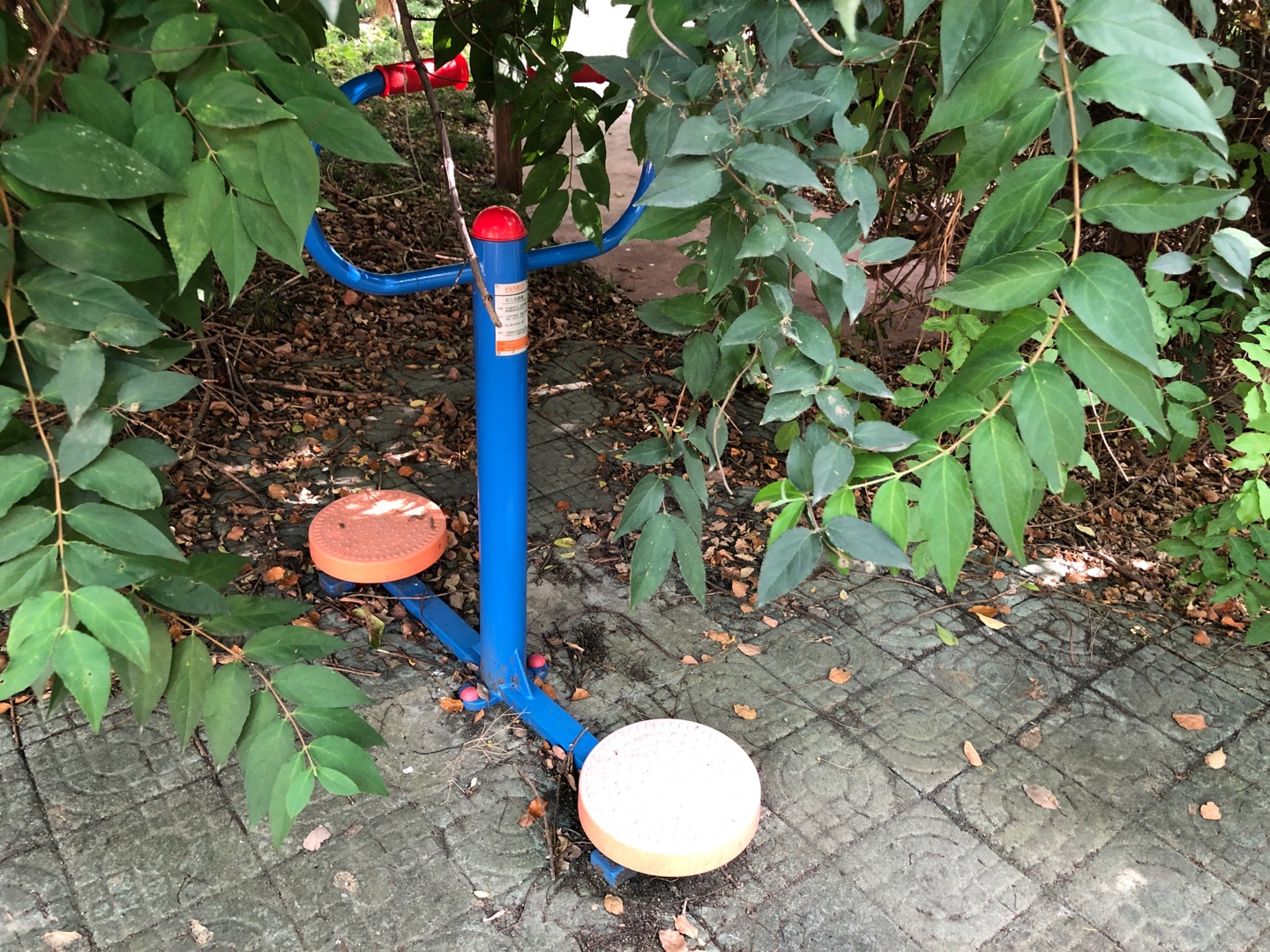 雙人扭腰器