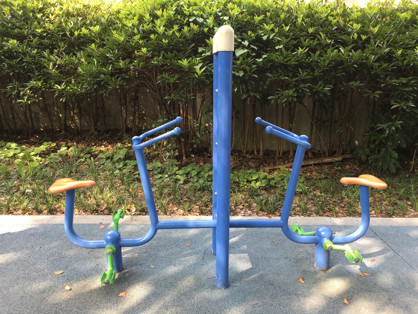 雙立柱健身車