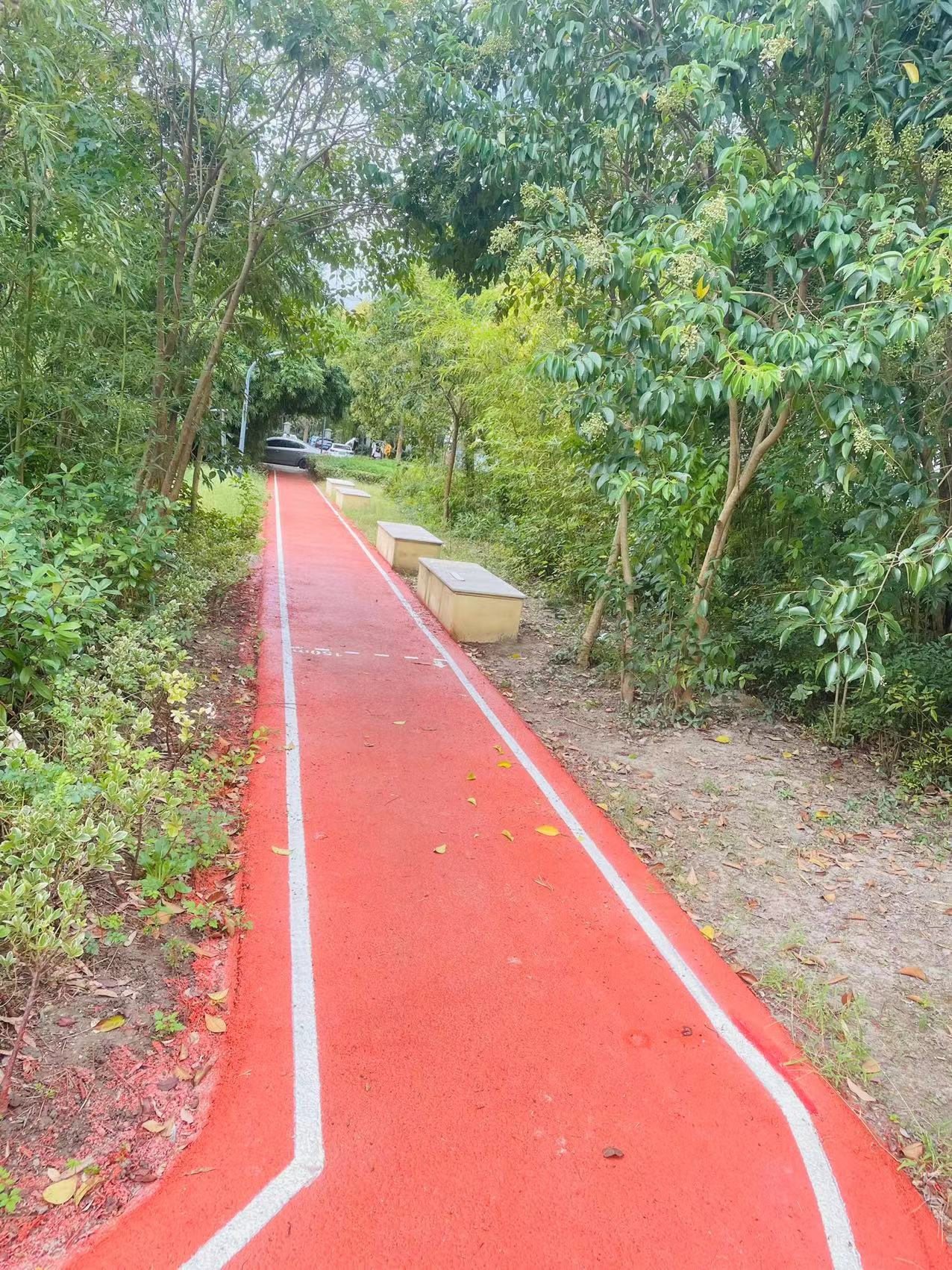 顧村鎮古北菊翔苑百姓健身步道