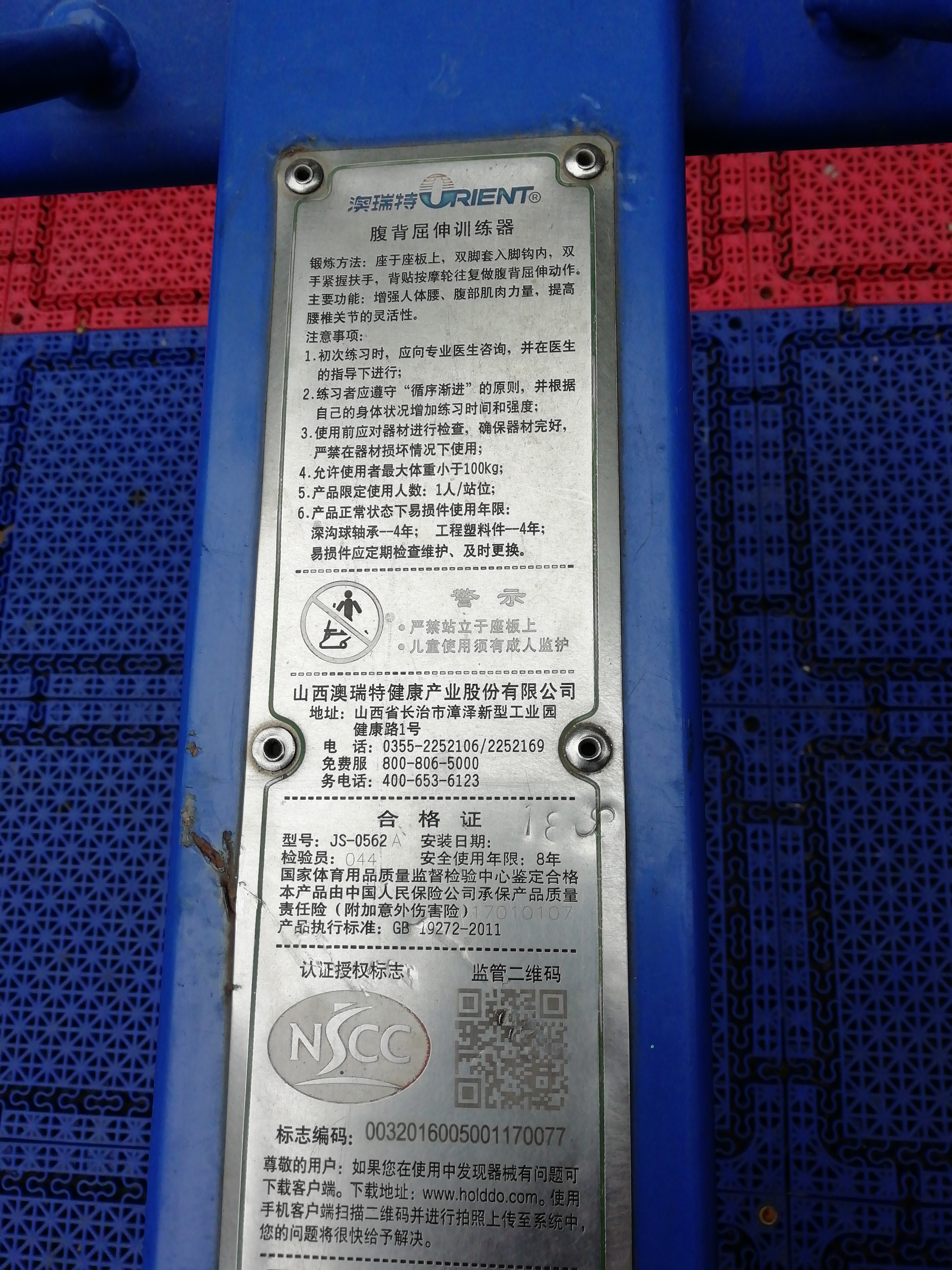 腹背屈伸訓練器