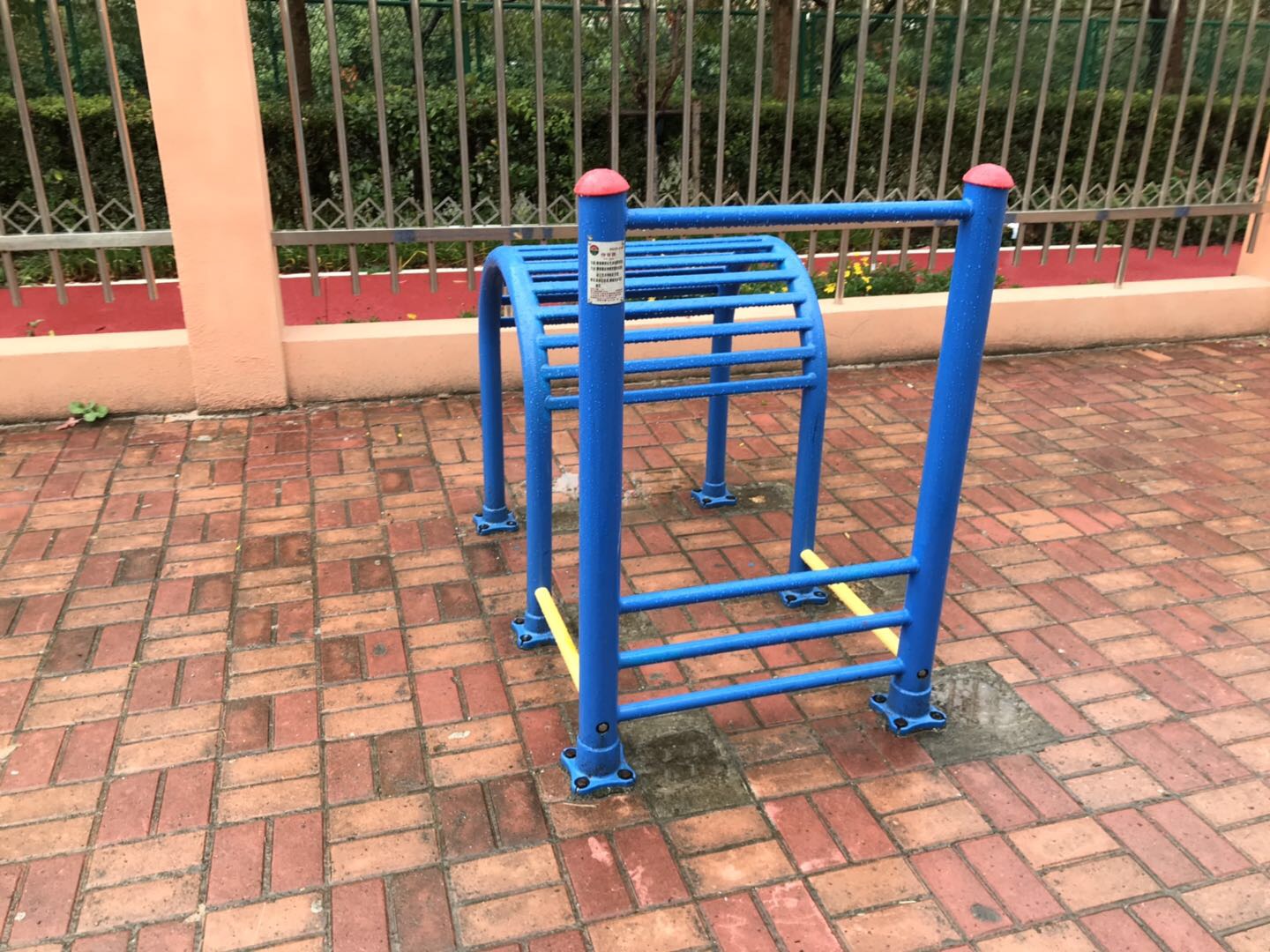 伸背器