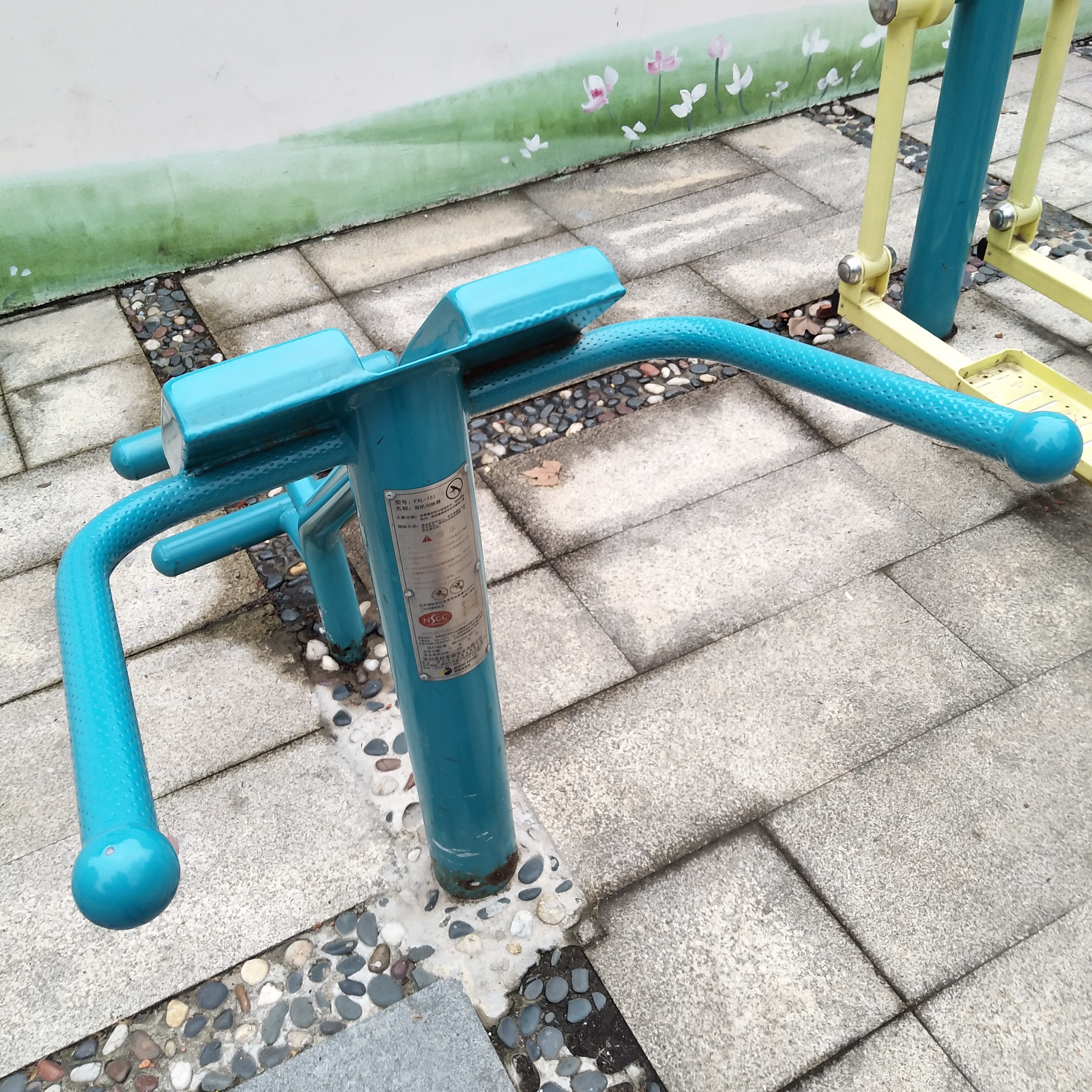 背腹肌訓練器