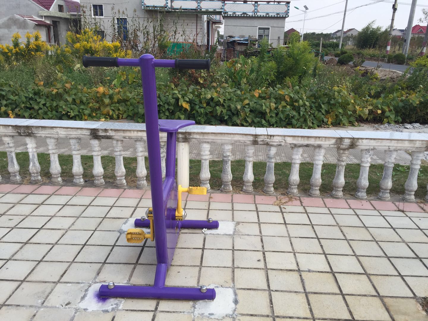 雙位健身車
