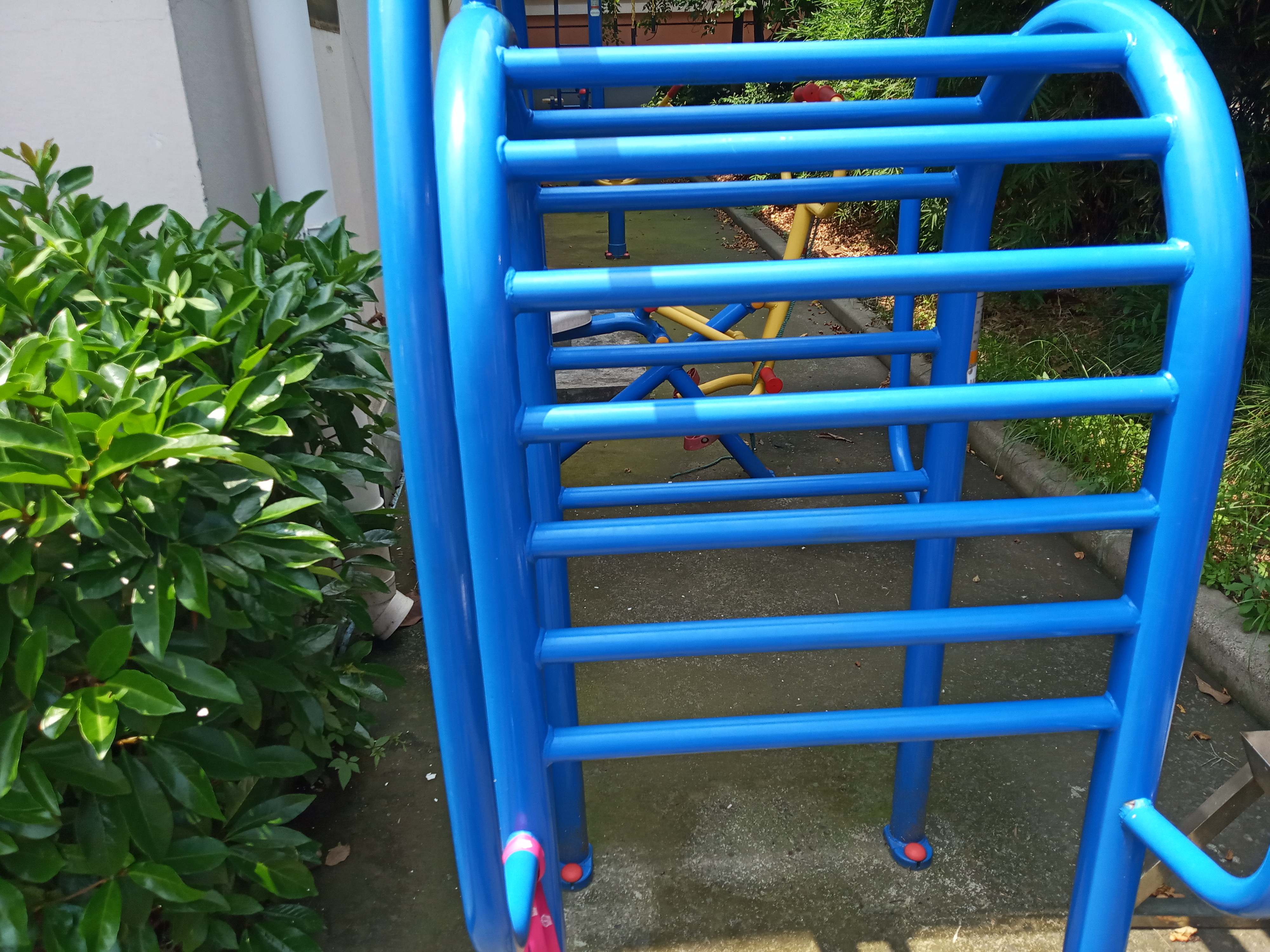伸背器