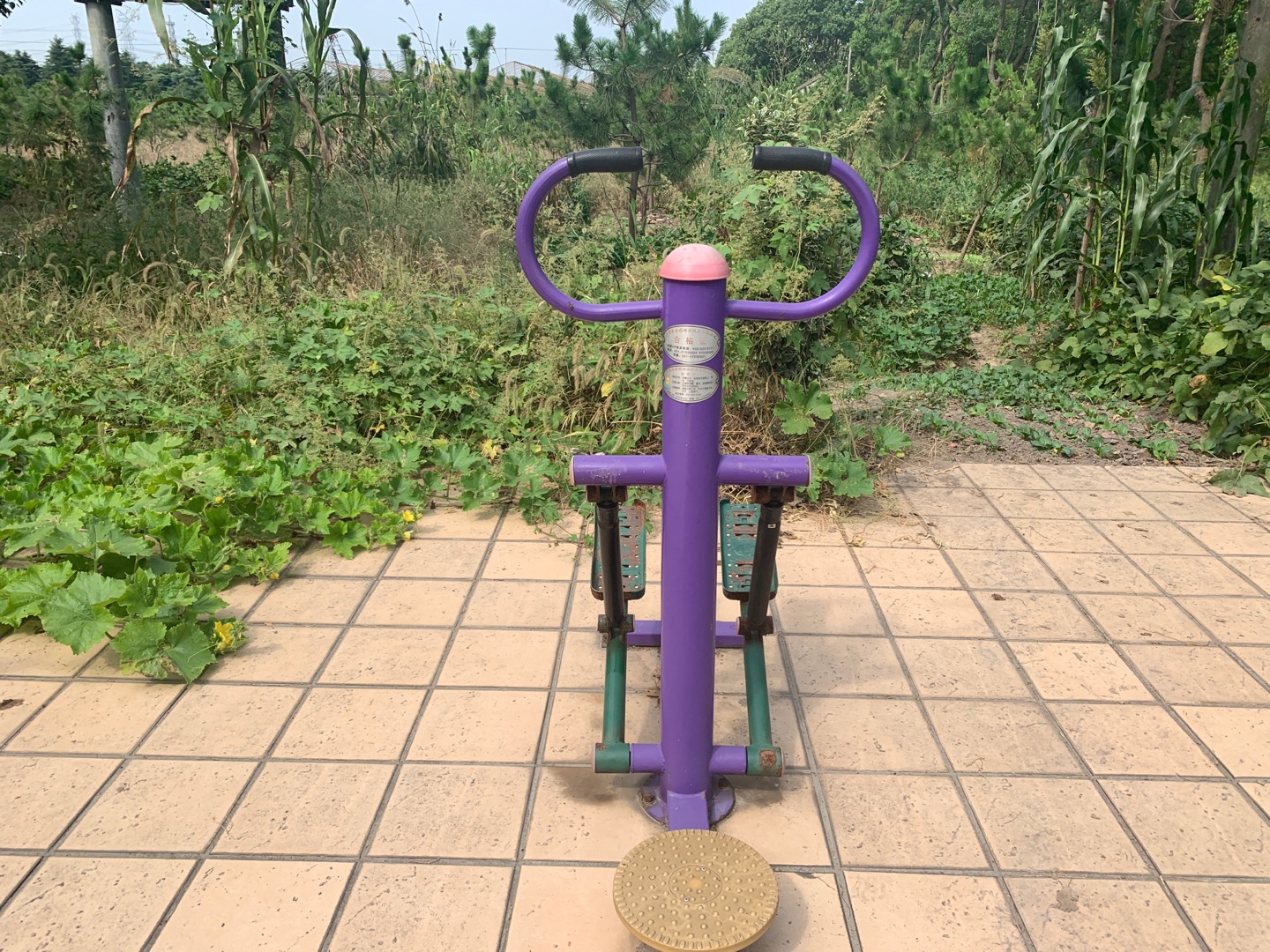 扭腰器