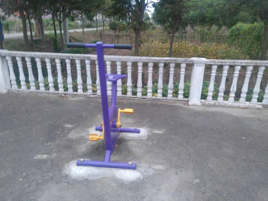 雙位健身車