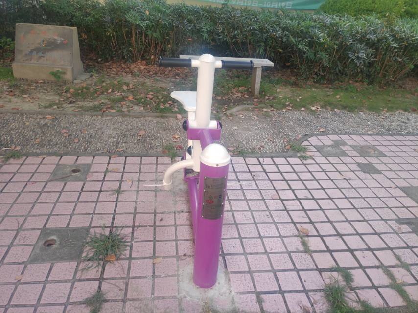 雙位健騎機
