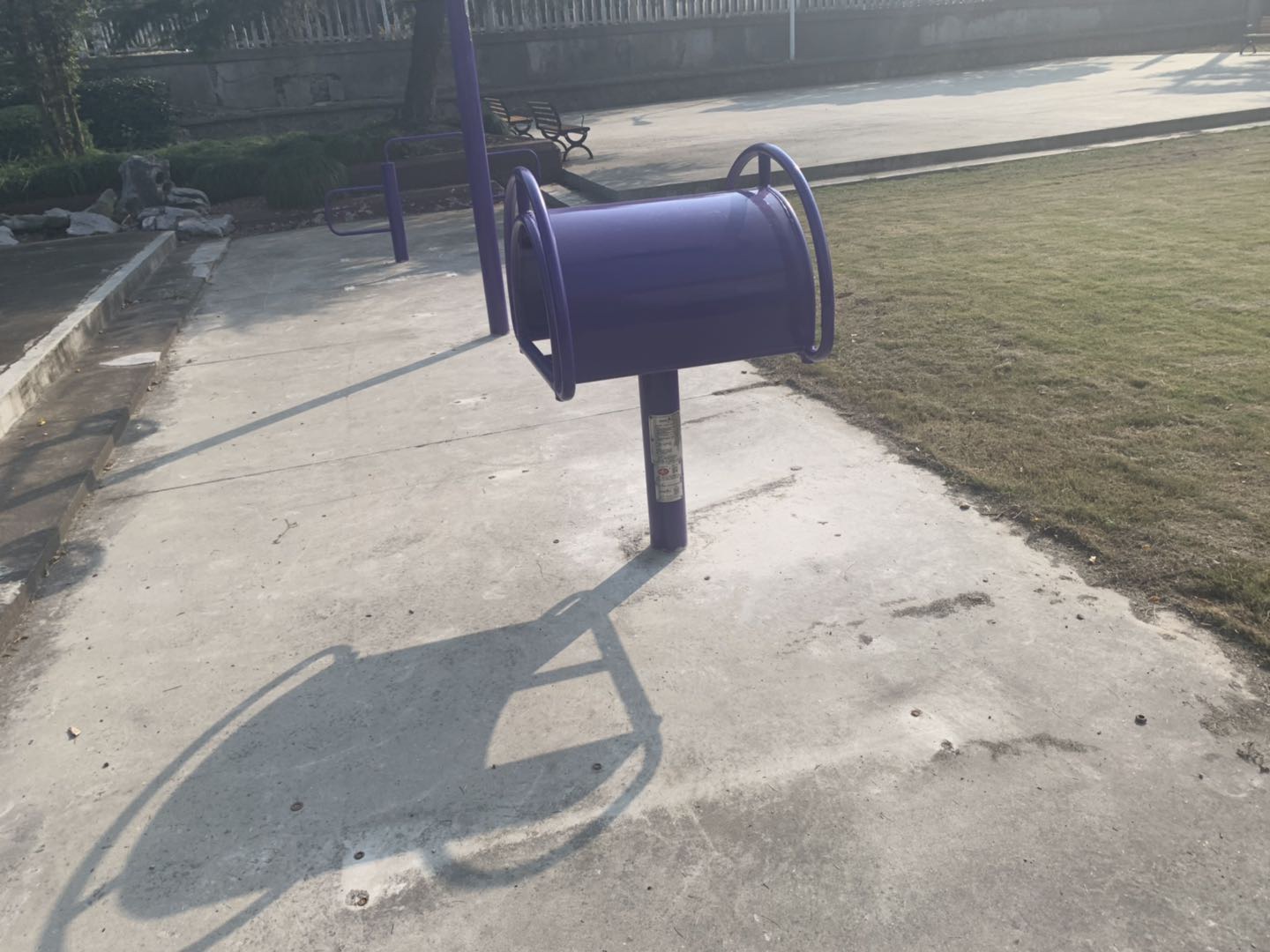 伸背器