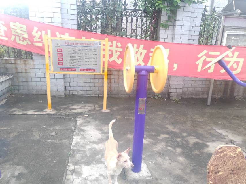 臂力訓練器