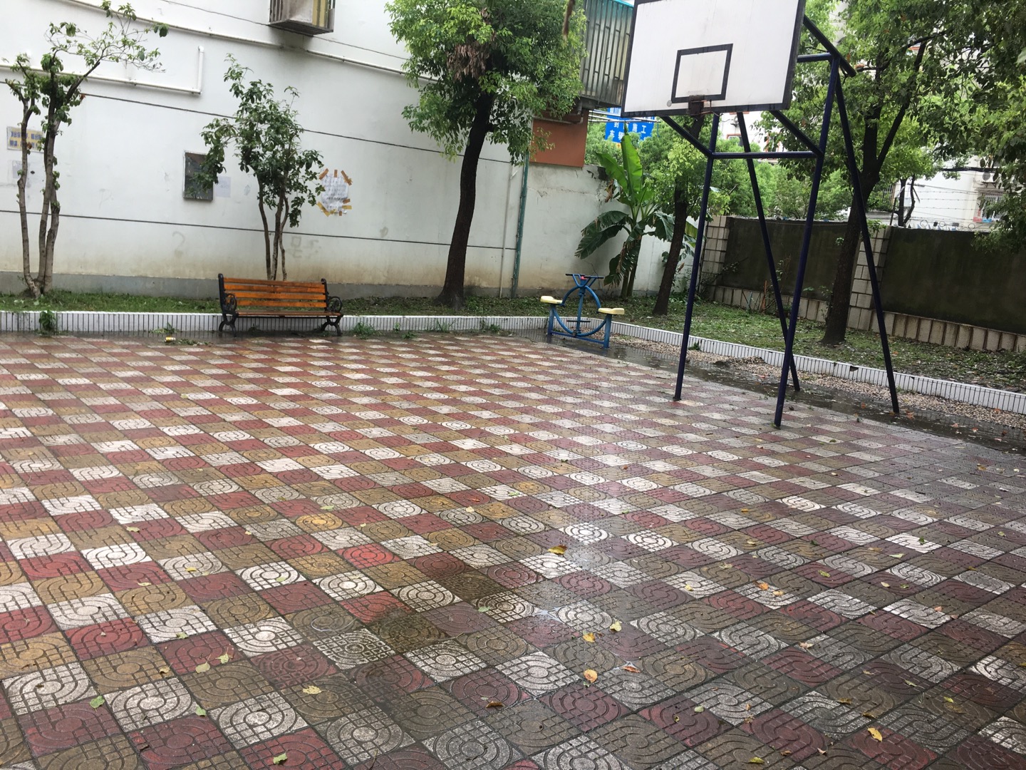 金湯社區健身苑點（4）