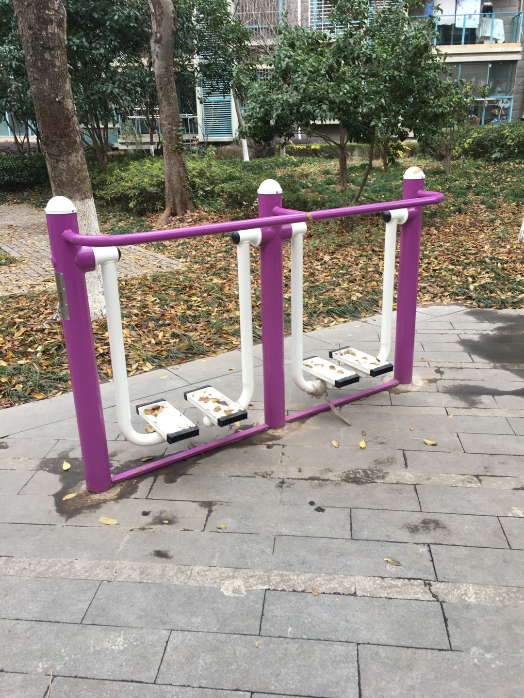 雙位漫步機