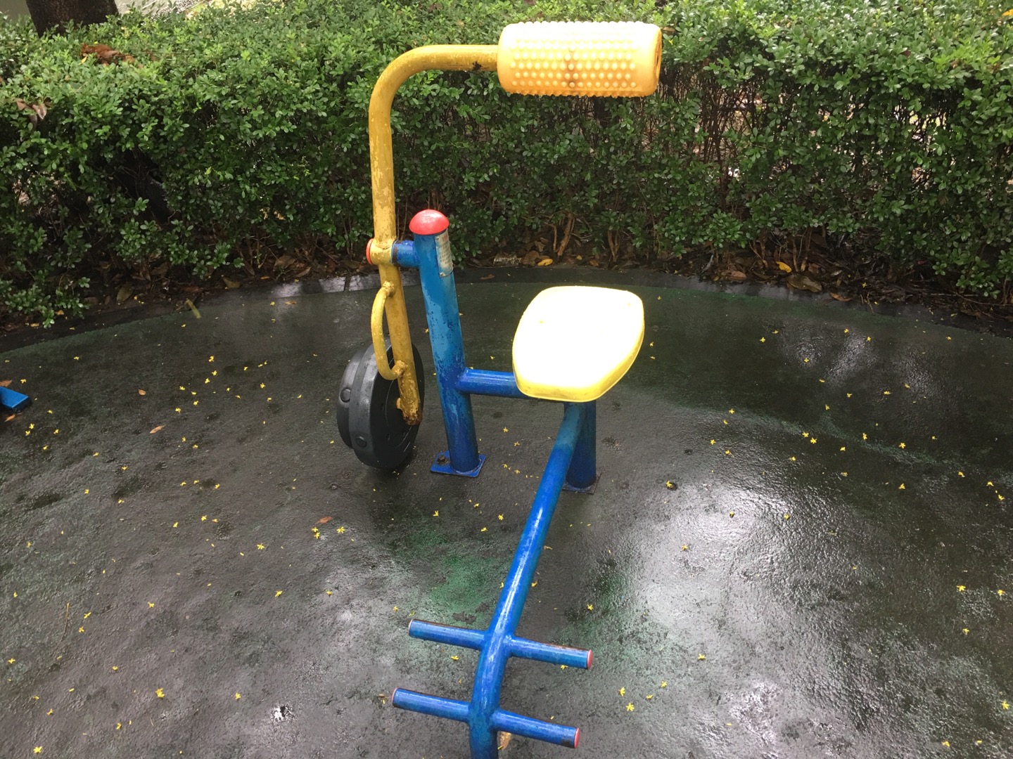 腹背鍛煉器