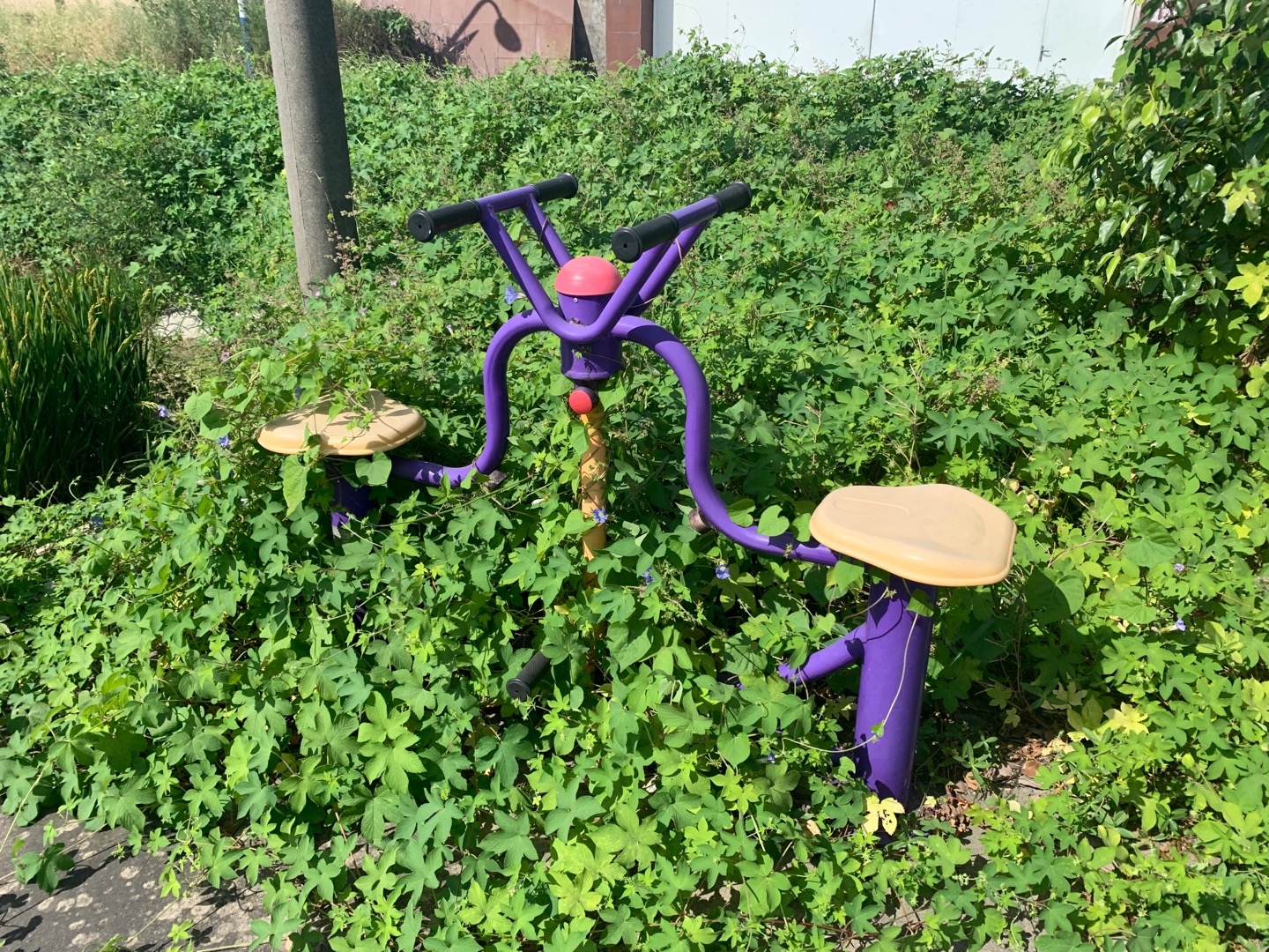 下肢康復器