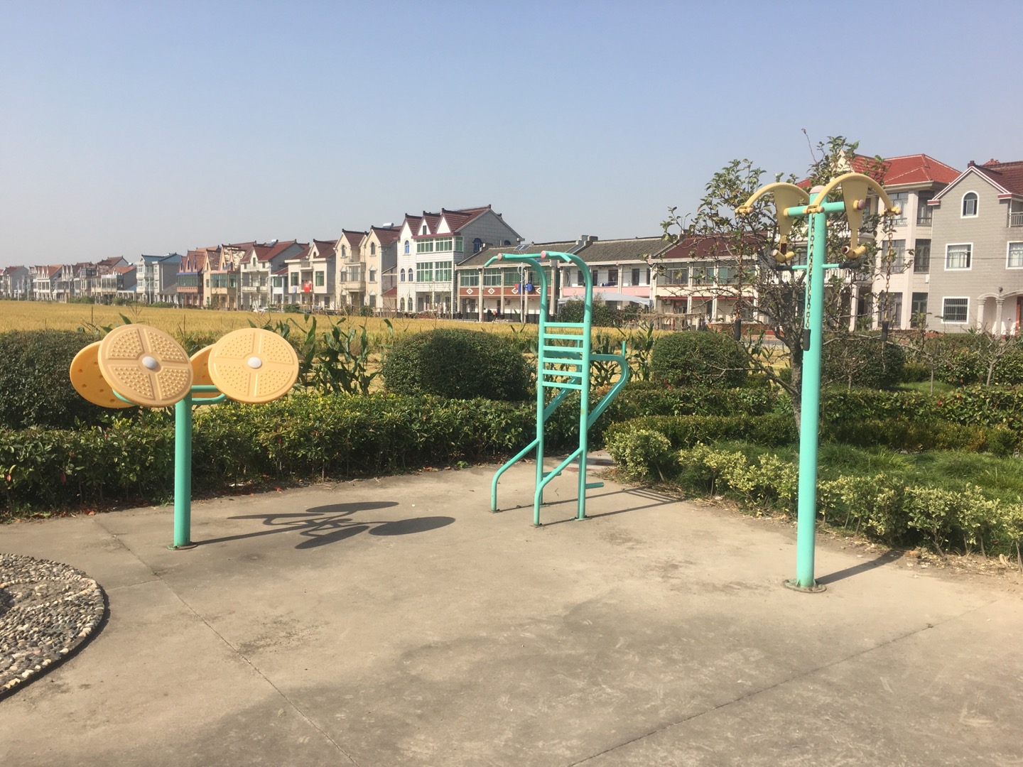 老港鎮(zhèn)牛肚村民委員會1組健身苑點(diǎn)