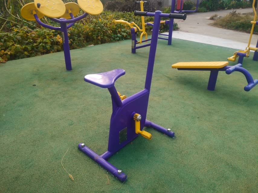 雙位健身車