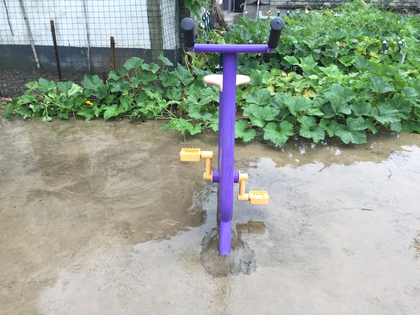 健身車
