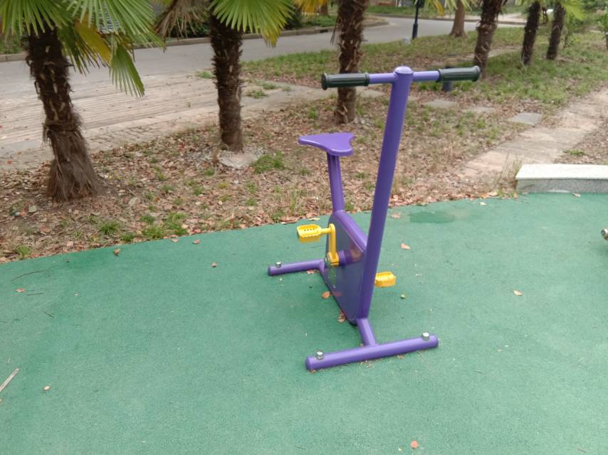 雙位健身車