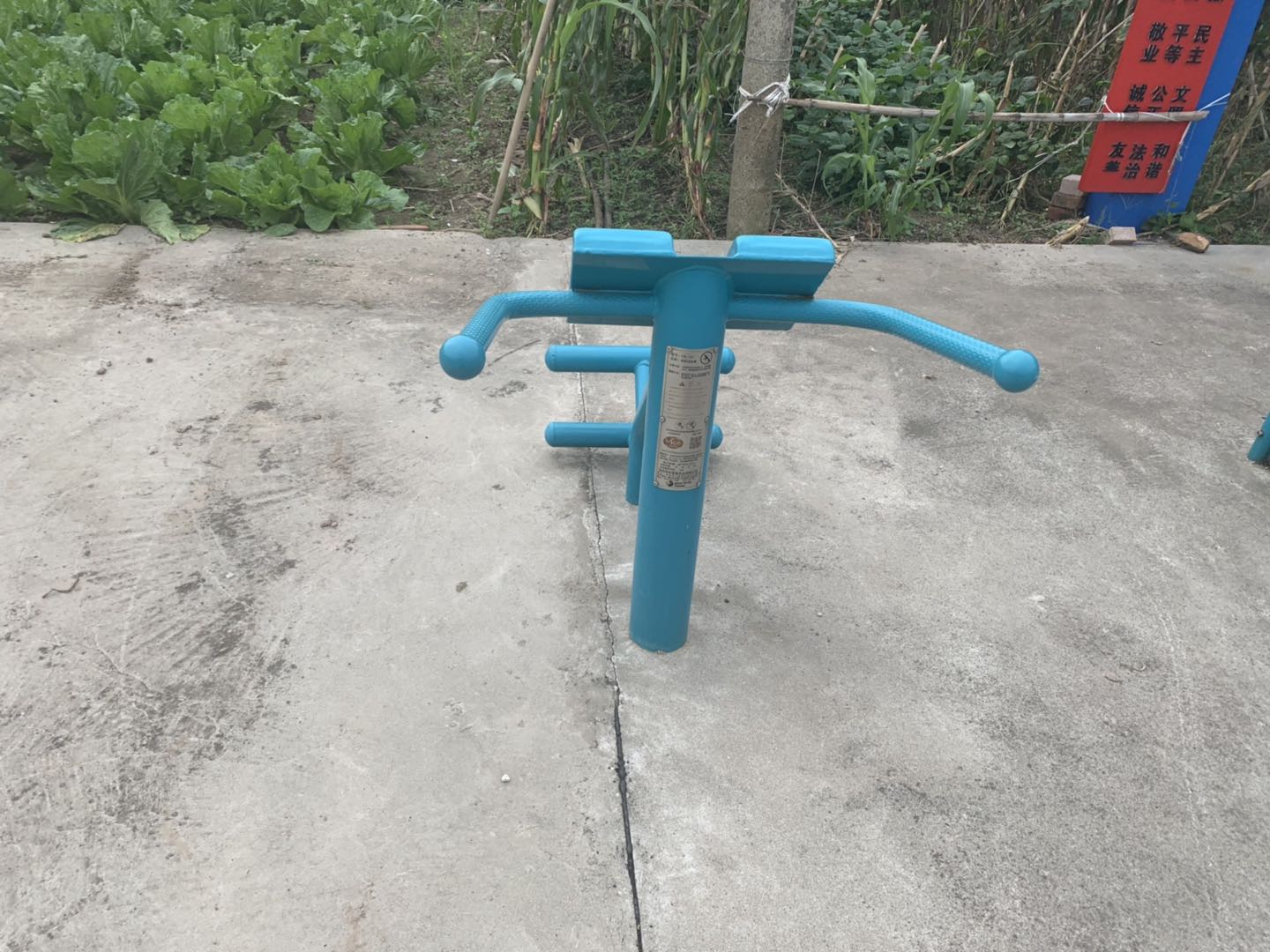 背肌訓練器