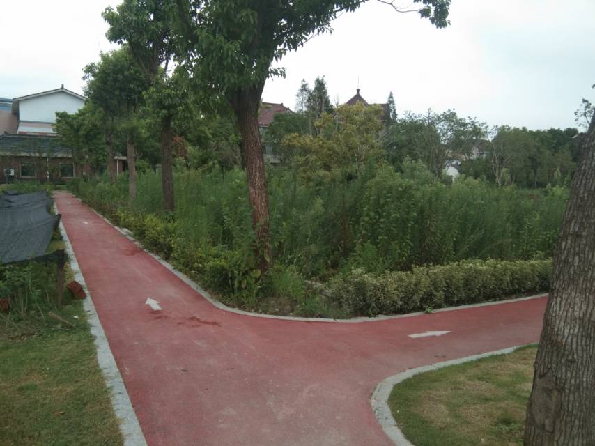 聚源橋村41