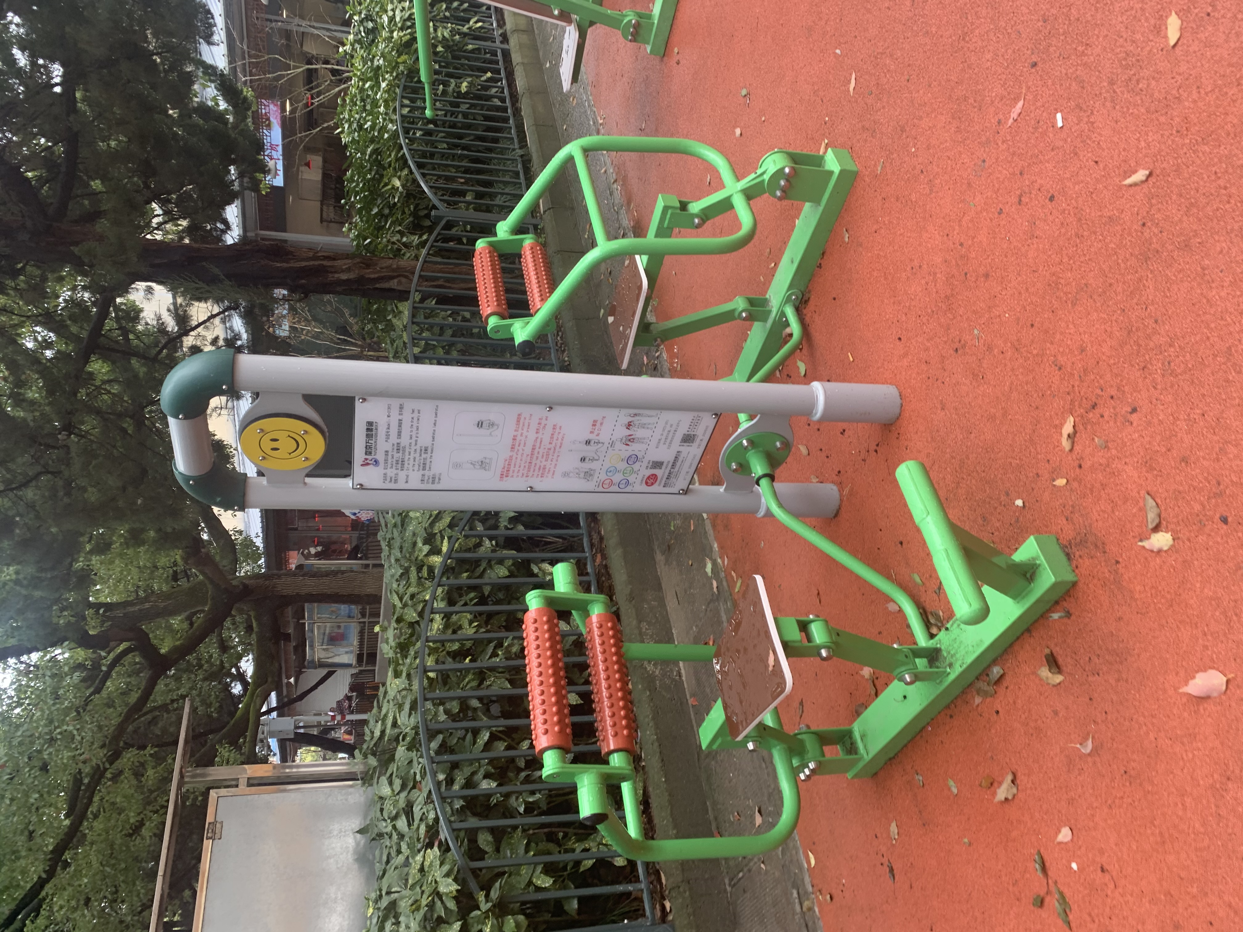 雙位背部訓練器