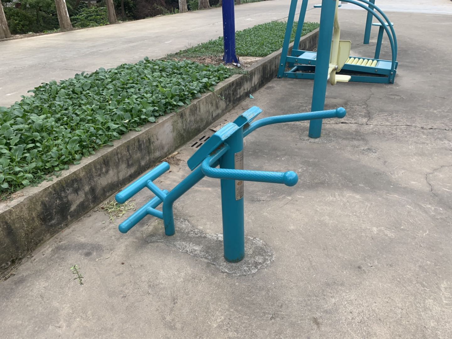 背肌訓練器