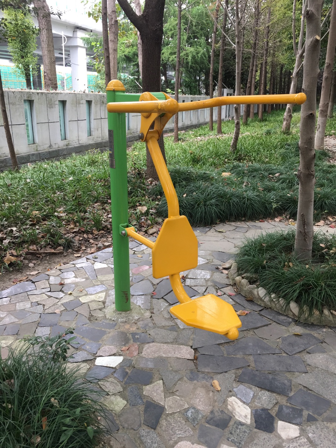 坐拉練習器