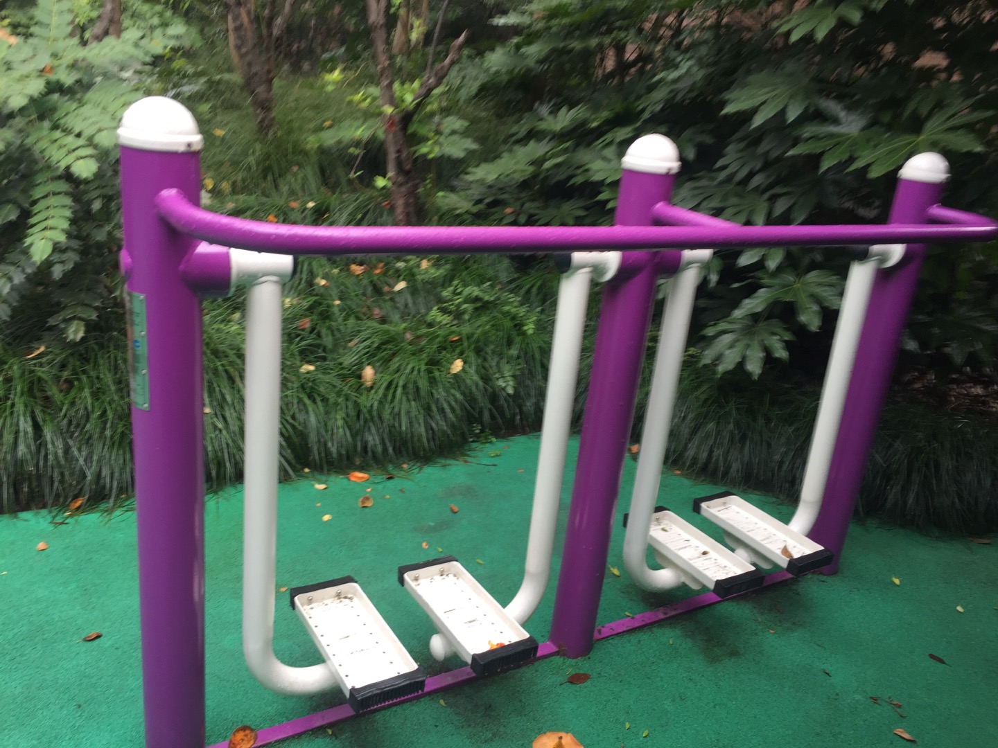 雙位漫步機